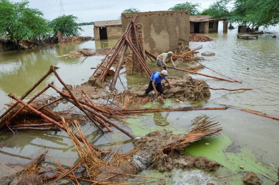 Survivors+of+the+floods+retrieve+bamboo+poles+from+the+water+in+an+attempt+to+rebuild+in+the+Balochistan+Province.+Many+blame+the+extent+of+the+devastation+on+shoddy+building+requirements+and+government+ineptitude.+8%2F25%2F22+Credit%3A+Amer+Hussain%2FReuters