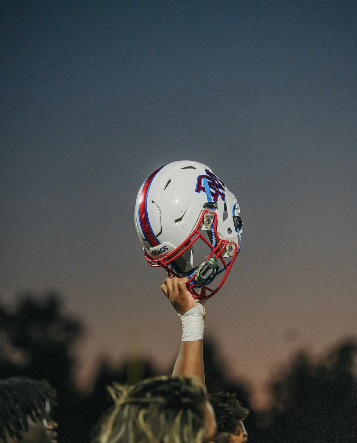 2023 DeMatha Football The DeMatha Stagline